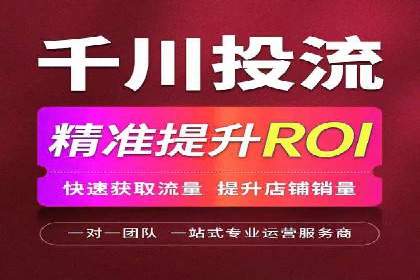 网络推广与竞价策略实战案例